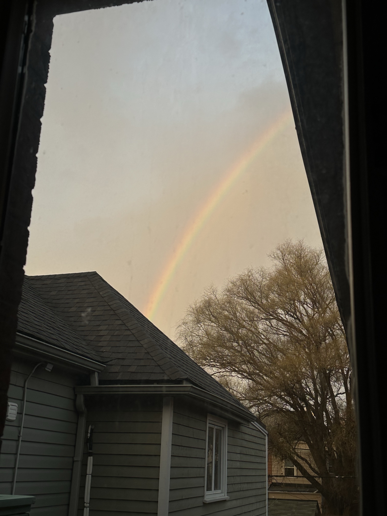 misty rainbow